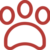 Уход за животными